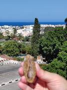 Veselé velikonoce! zajíc 1