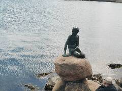 Veselé velikonoce! zajíc 1