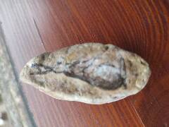 Veselé velikonoce! zajíc 1