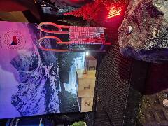 Sýkory modřinky (Blue tit)