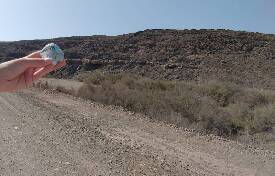 Sýkory modřinky (Blue tit)