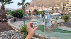 Sýkory modřinky (Blue tit)