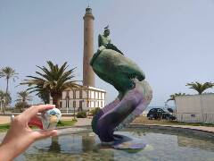 Sýkory modřinky (Blue tit)