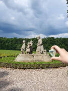 Sýkory modřinky (Blue tit)