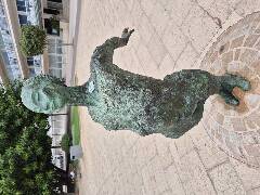 Sýkory modřinky (Blue tit)