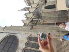 Sýkory modřinky (Blue tit)