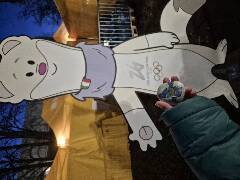 Sýkory modřinky (Blue tit)