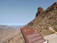 Sýkory modřinky (Blue tit)