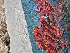 Sýkory modřinky (Blue tit)