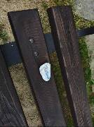 Sýkory modřinky (Blue tit)