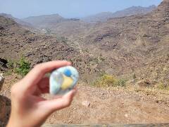 Sýkory modřinky (Blue tit)