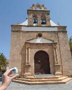 Sýkory modřinky (Blue tit)