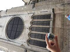 Sýkory modřinky (Blue tit)