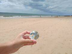 Sýkory modřinky (Blue tit)