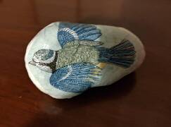 Sýkory modřinky (Blue tit)
