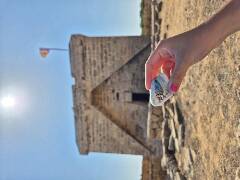 Sýkory modřinky (Blue tit)