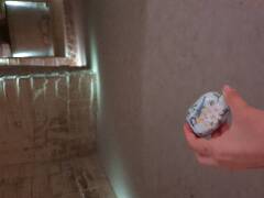 Sýkory modřinky (Blue tit)