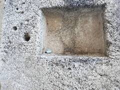 Sýkory modřinky (Blue tit)