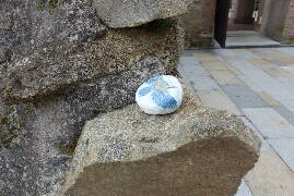 Sýkory modřinky (Blue tit)