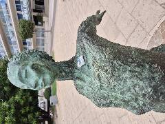 Sýkory modřinky (Blue tit)