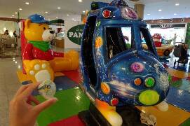 Sýkory modřinky (Blue tit)