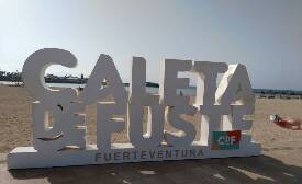 Sýkory modřinky (Blue tit)