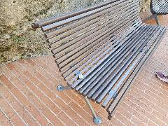 Sýkory modřinky (Blue tit)