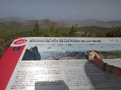 Sýkory modřinky (Blue tit)