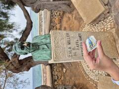 Sýkory modřinky (Blue tit)