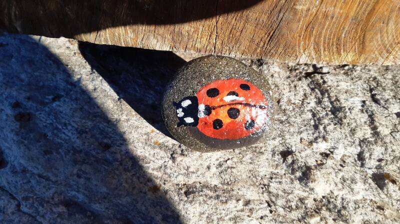 Found painted stone